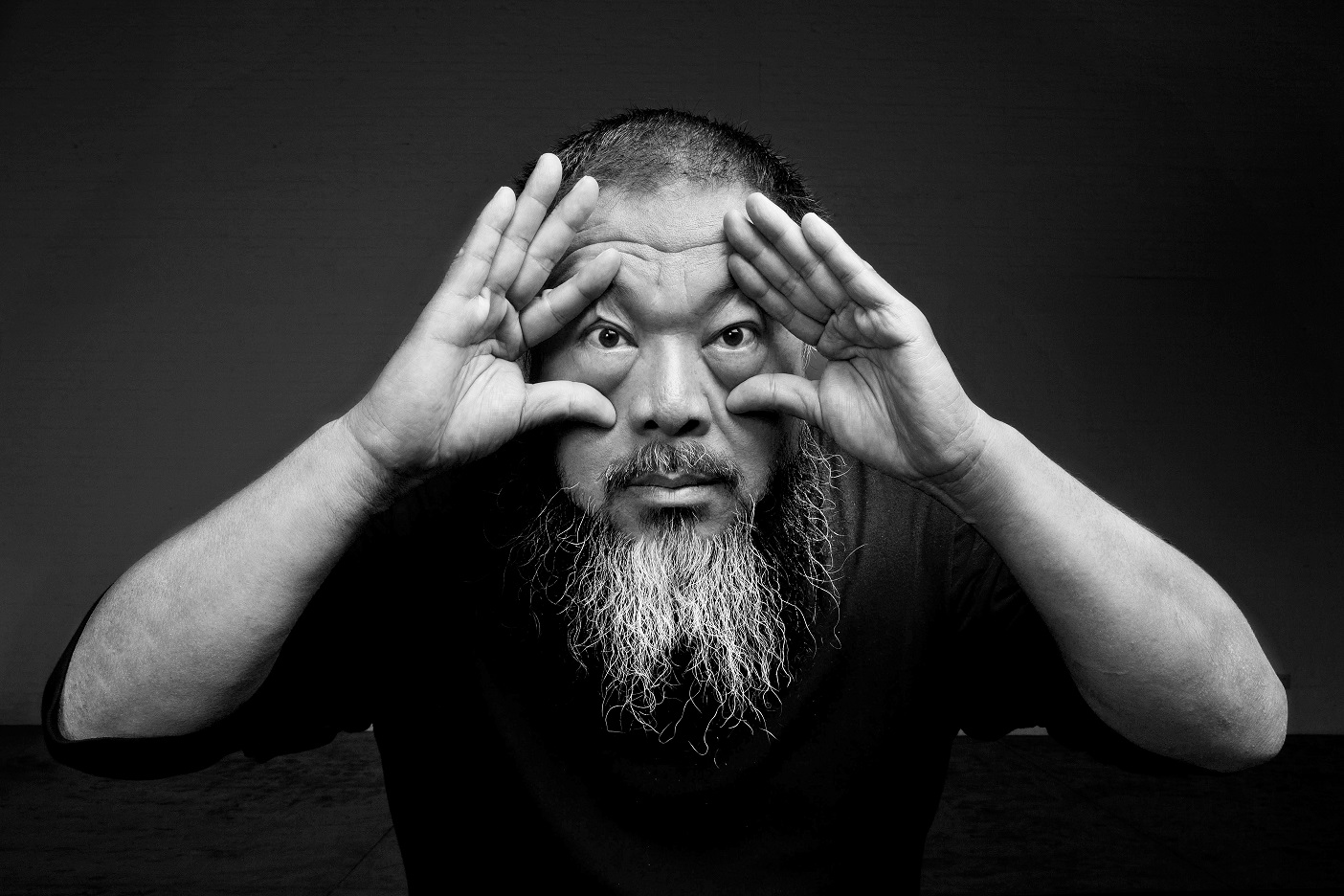 Celebrated Chinese Dissident Artist Ai Weiwei Brings Exhibit To St Louis Gazelle Magazine