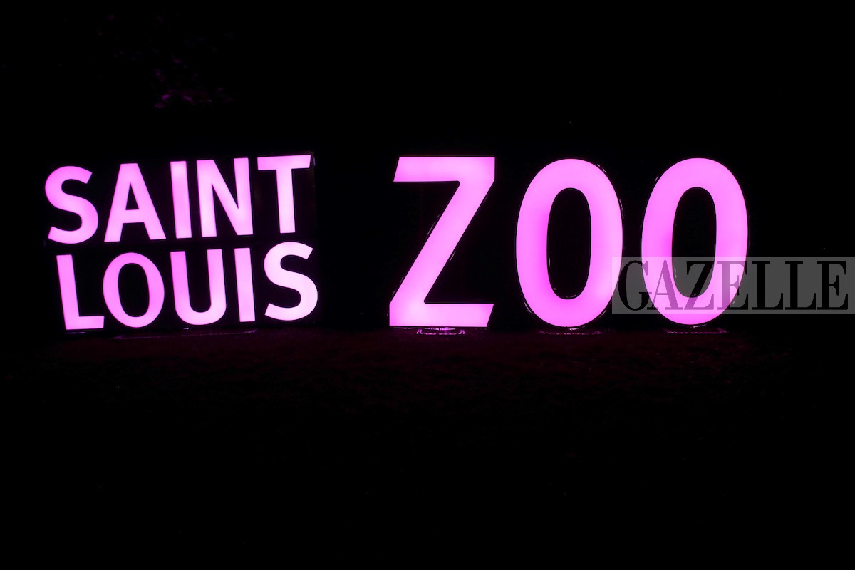 Saint Louis Zoo: 2019 Jammin' at the Zoo - GAZELLE MAGAZINE