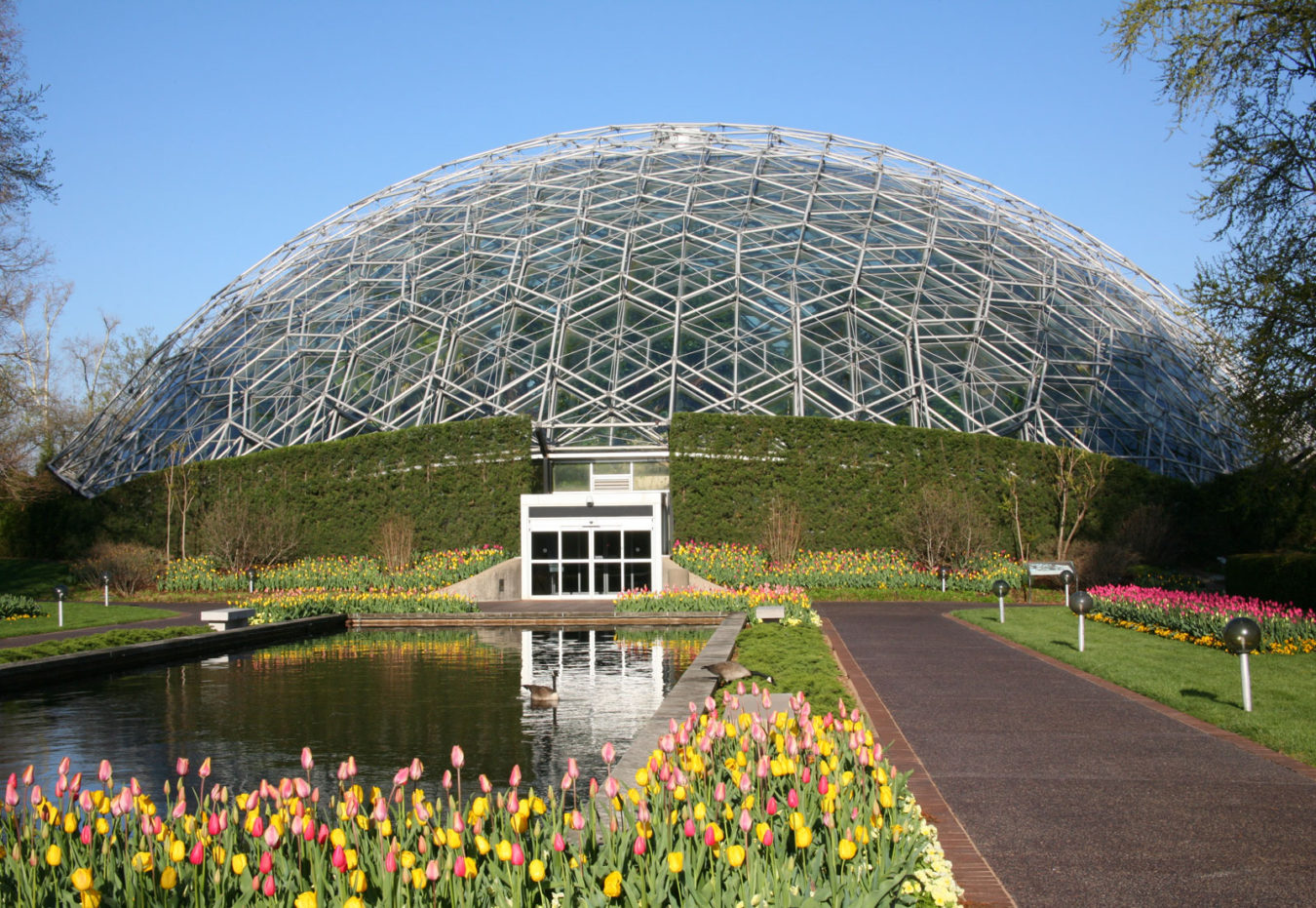 ‘Mid-Century Modern in St. Louis’ Demonstrates Architectural Impact on ...