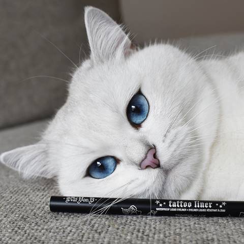 kat von d vegan cat