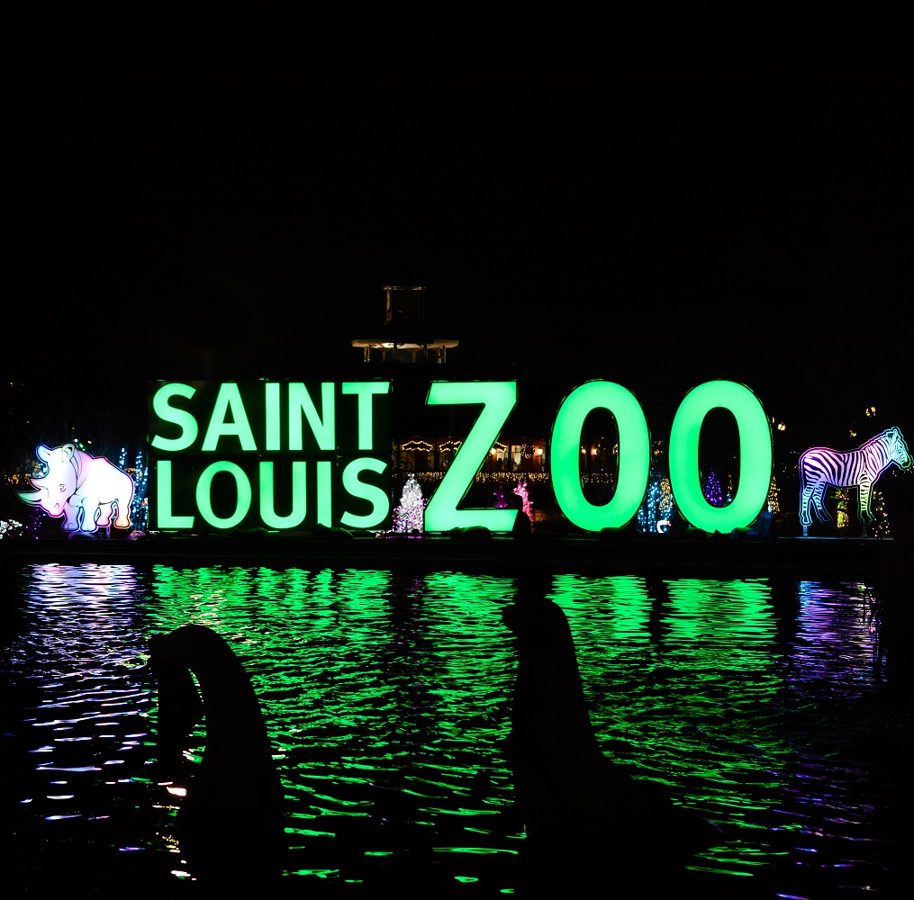 Dazzling Holiday 'Wild Lights' Returns to the Saint Louis Zoo GAZELLE