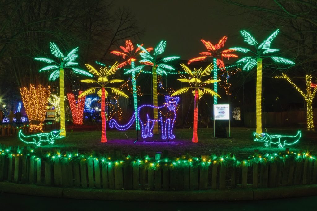 Dazzling Holiday ‘Wild Lights’ Returns to the Saint Louis Zoo GAZELLE