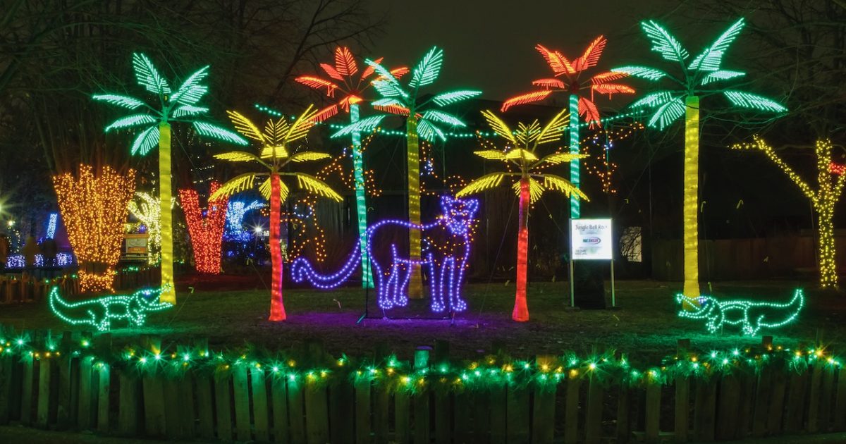 Dazzling Holiday 'Wild Lights' Returns to the Saint Louis Zoo GAZELLE