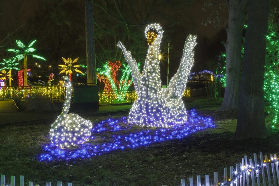 Dazzling Holiday ‘Wild Lights’ Returns to the Saint Louis Zoo GAZELLE