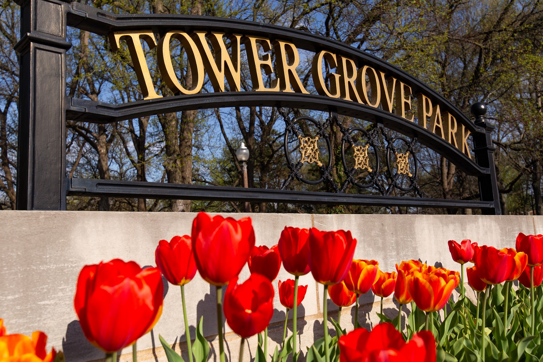 Tower Grove Park Turns 150 Years Old GAZELLE MAGAZINE